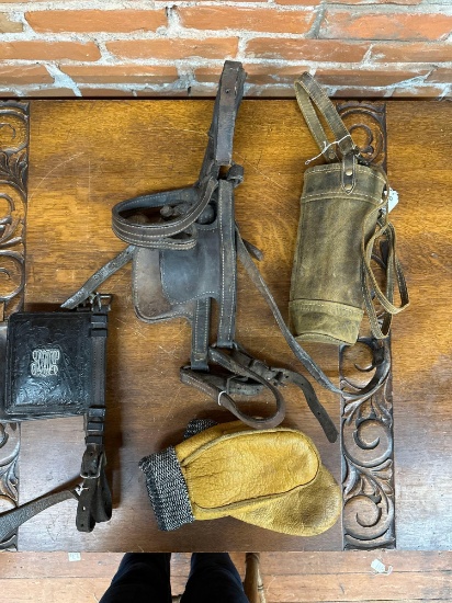 Work horse harness