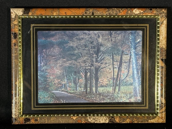 Small forest walk way print