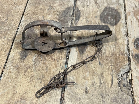 Oneida Victor Animal Trap