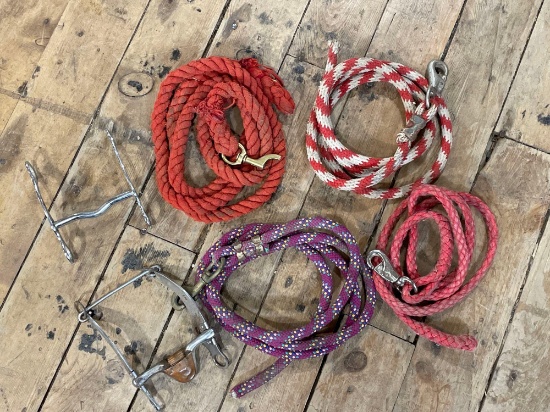 (2) Straight Bits & (4) Lead Ropes