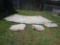 4 tipi liners fit a 14' tipi