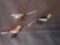 (3) Victorian bird ornaments