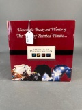 Trail of painted pony in box, 