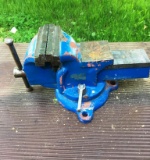 Painted Vise
