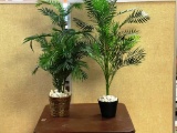 Artificial Plants and Plant Stands