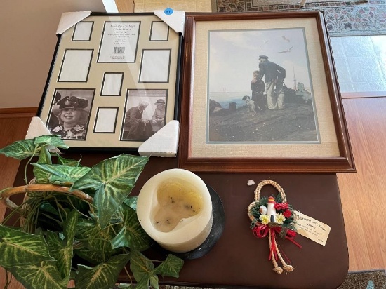 Pictures And Plants