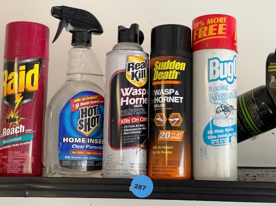 Fogger And Bug Spray