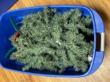 Small Tree In A Large Tote