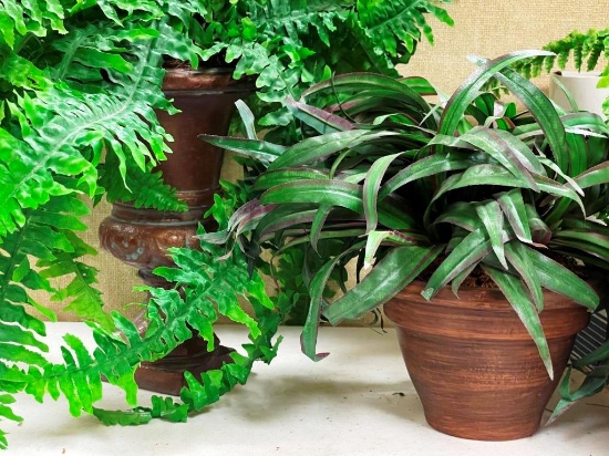 Large collection of greenery