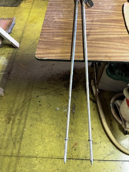 Pair of Trekking poles