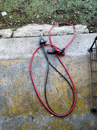Pair of Bike Locks