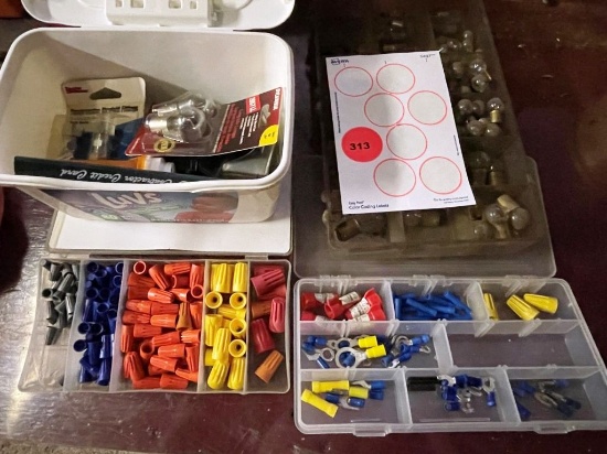 Bulbs and Electrical Supplies