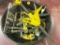 Clamps