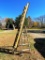 Fiberglass Extension Ladder