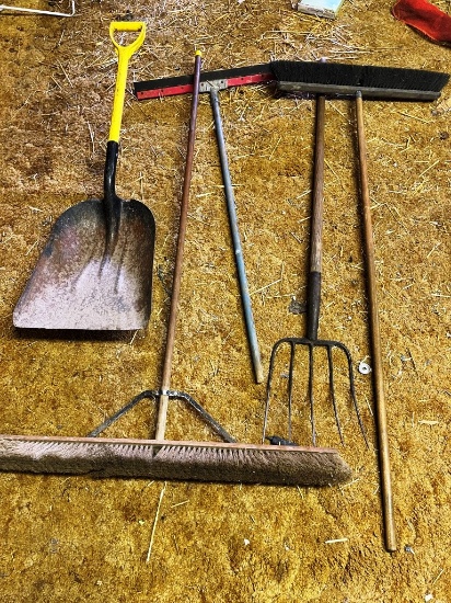 Small Group of Long Handle Tools