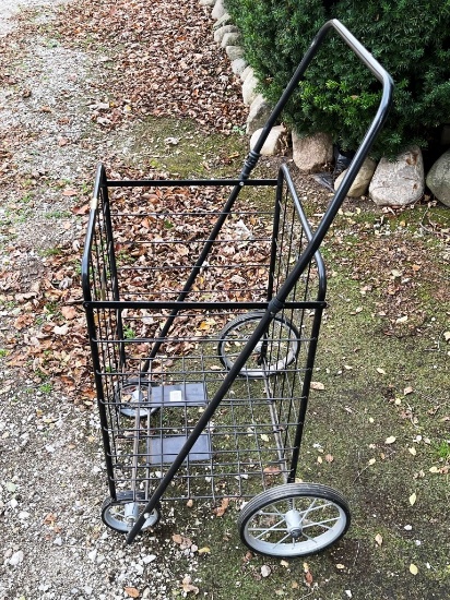 Shoppers Buggy