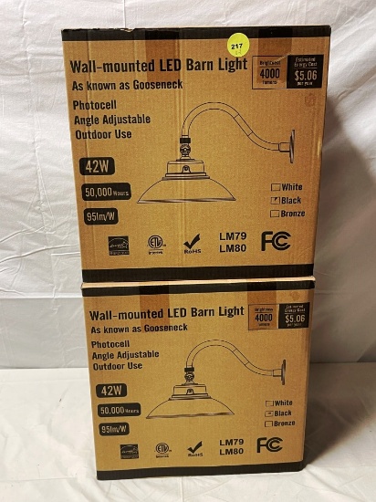 Pair of Gooseneck Outdoor Light Fixtures