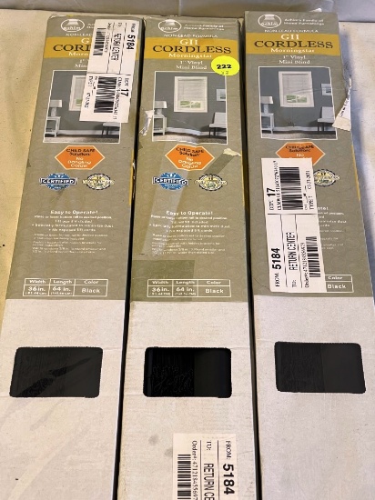 3 Cordless Mini Window Blinds