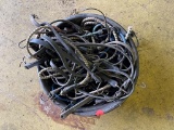 Bungee Cords