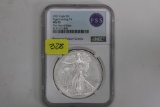 SILVER EAGLE