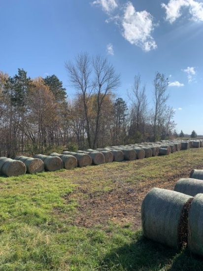 1st Cutting Grass Alfalfa Mix