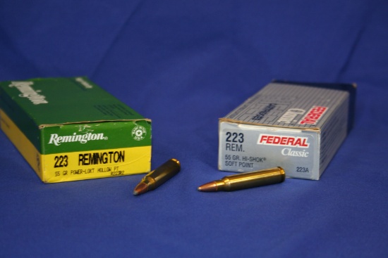 Remington & Federal 223 Ammo - 2 Boxes
