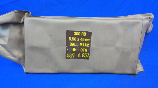 5.56x45 Ammo - 1 Bag