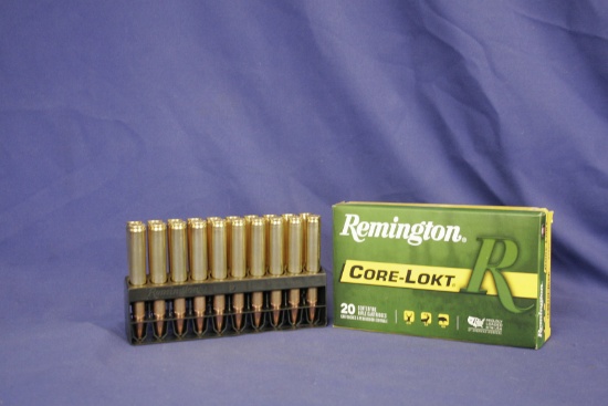 Remington 30-06 Core Lokt ammo (1 Box)