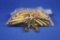 Ammo, Loose Bag Of 556.