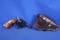 Days Ens Starter Pistol, 22LR NSN. Excellent Condition.