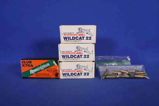Ammo, 22LR. 161 Rounds