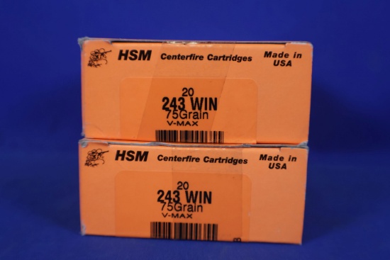 Ammo, 243 Win. 40 Rounds Total.