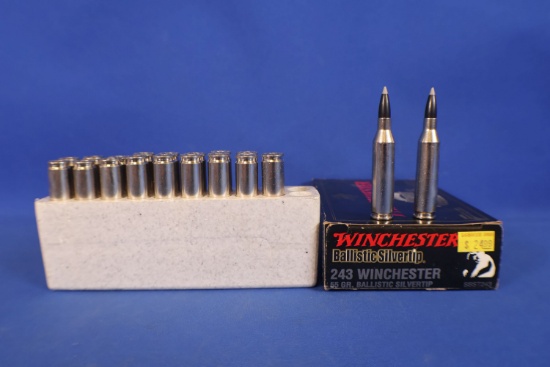 Ammo, 243 Win. 20 Rounds Total.