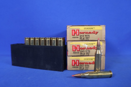 Ammo, 243 Win. 37 Rounds Total.