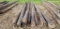 Approx. 10 Treated Poles 20-35 Foot