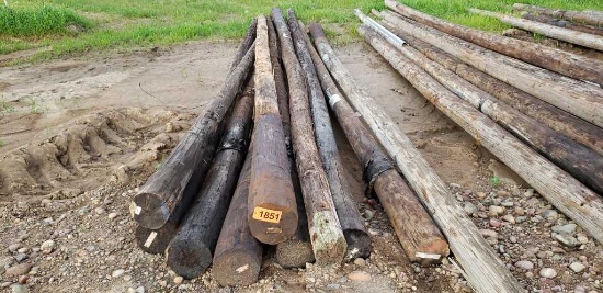 Approx. 10 Treated Poles 20-35 Foot