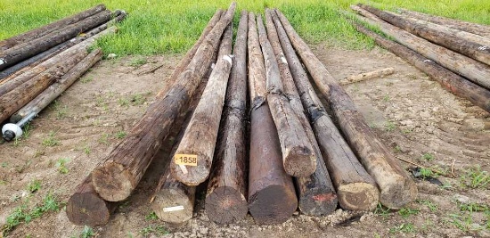 Approx. 10 Treated Poles 20-35 Foot