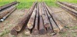 Approx. 10 Treated Poles 20-35 Foot
