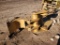 Bodine Excavator Stump Shear