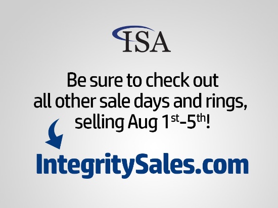 Check Out Our Other Auctions!