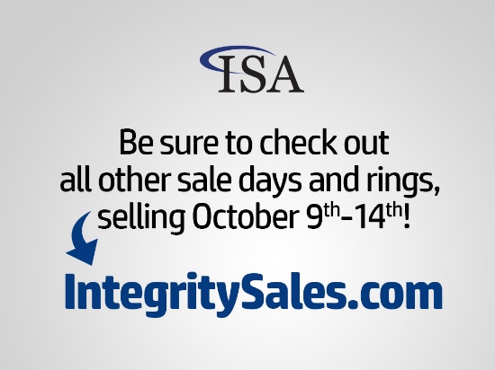 Check Out Our Other Auctions!