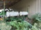 John Deere 7000 4 Row Planter