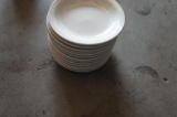 Set of 13 Extra Small White Plates