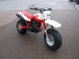 1987 Yamaha Big Wheel