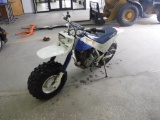 1987 Honda Fat Cat