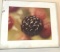 Wild Black Raspberry by Judith B Smith signed one of 25 made