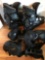 Men?s rollerblades and pads size 12