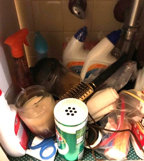 Under Bathroom Sink Clean Out