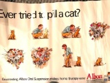 Pill A Cat Poster
