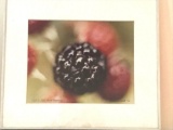 Wild Black Raspberries Signed print one of 255 by Judith Smith